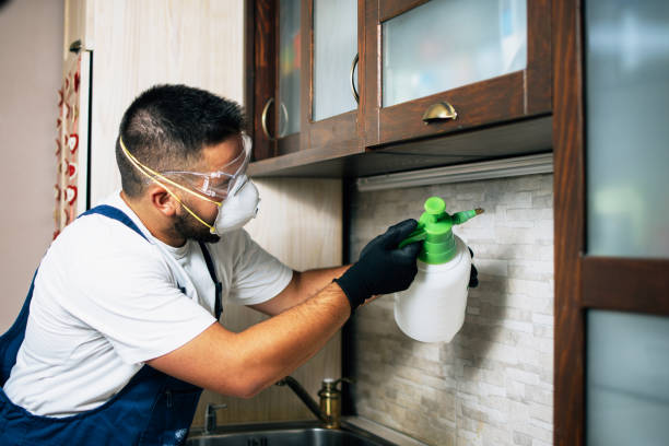 Best Best Pest Control Near Me  in La Homa, TX