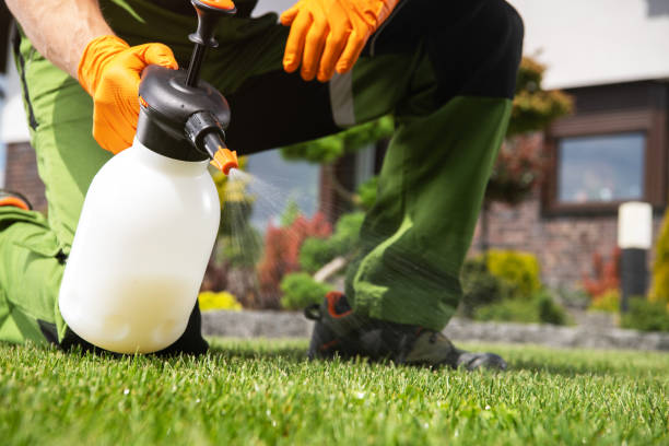 Professional Pest Control in La Homa, TX