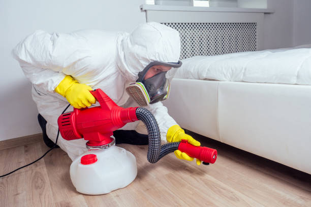 Best Insect Control  in La Homa, TX