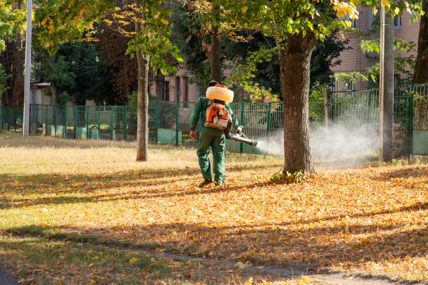 Best Pest Control Near Me in La Homa, TX