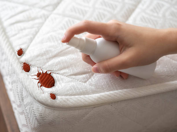 Best Pest Inspection Near Me  in La Homa, TX